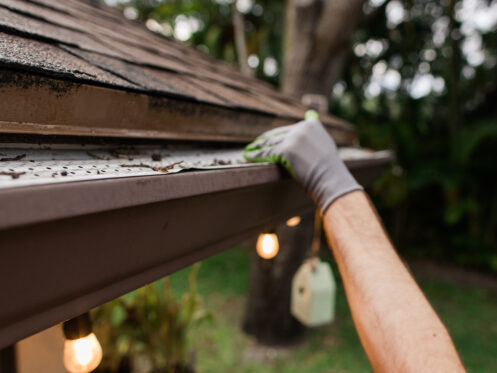 Gutter services in Carmel, IN