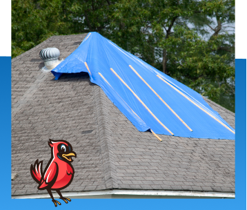 Roof Storm Damage Repair in Fishers, IN