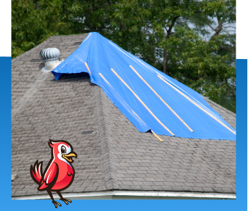Roof Storm Damage Repair in Indianapolis, IN
