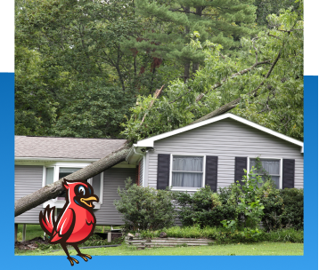 Emergency Roof Repair in Zionsville, IN