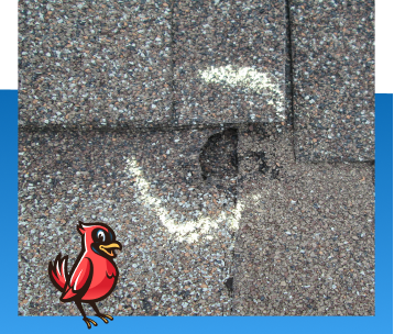 Roof Inspection in Noblesville, IN