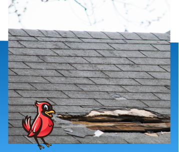 Roof Repair Services in Noblesville, IN