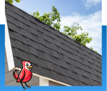 Shingle Roofing in Indianapolis, IN