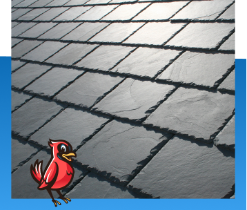 Slate Roofing in Zionsville, IN